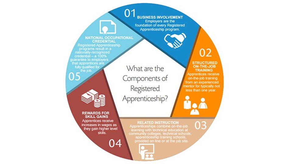 What is Apprenticeship