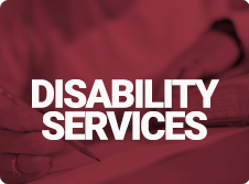 disability services 3 column